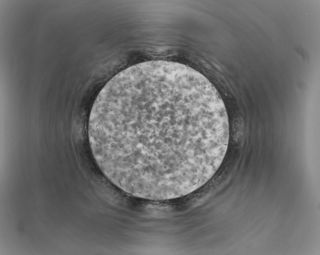 X0000111150515200907281135