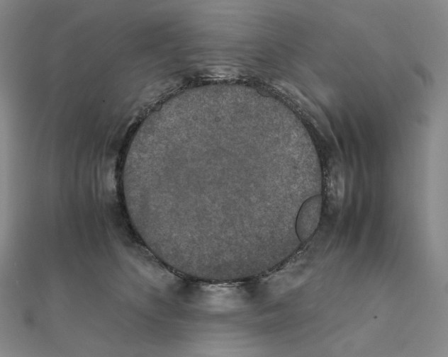 X0000111150516200907281135