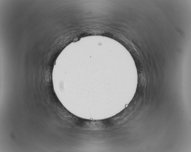 X0000111150517200907281135