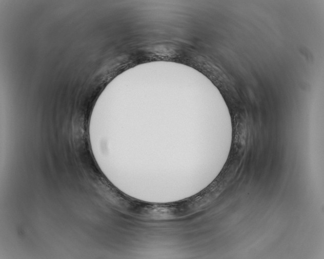 X0000111150518200907281135