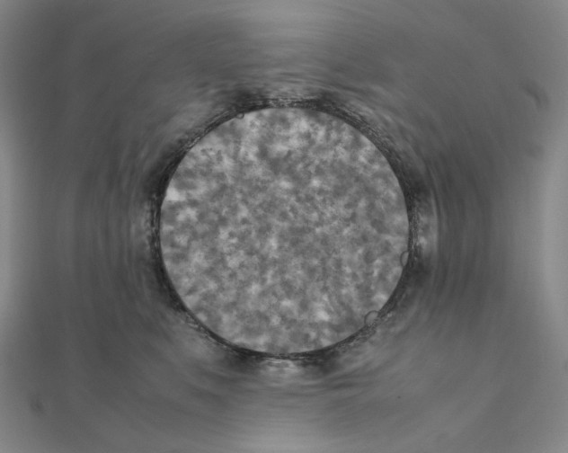 X0000111150519200907281135