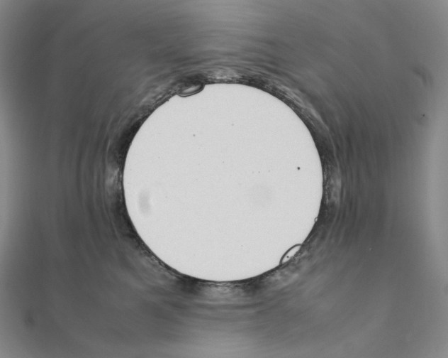 X0000111150521200907281135