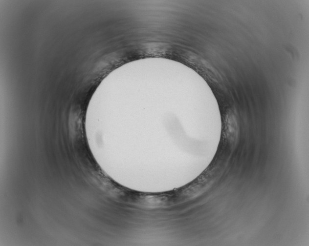 X0000111150522200907281135