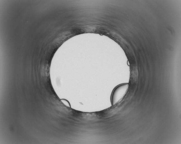 X0000111150525200907281135