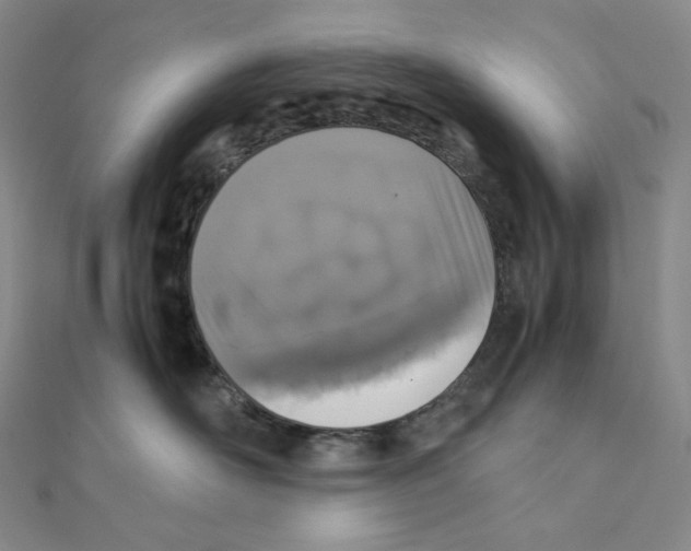 X0000111150526200907281135