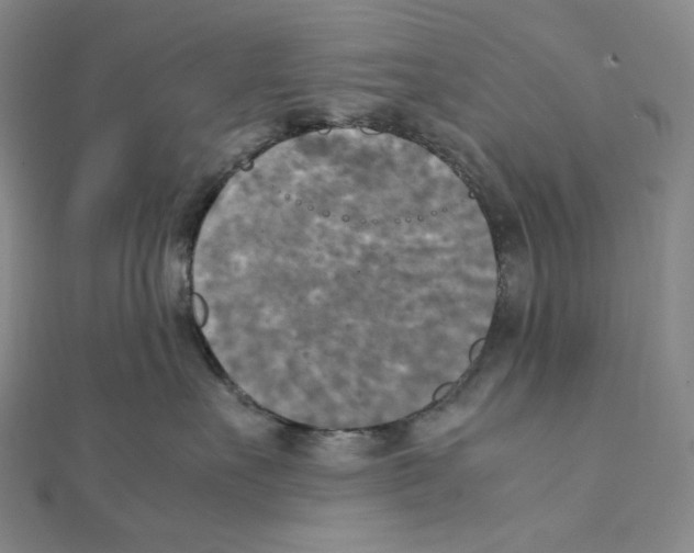 X0000111150527200907281135