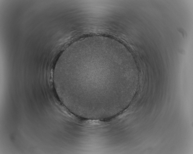 X0000111150528200907281135