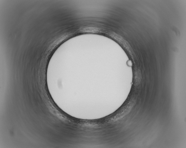 X0000111150529200907281134