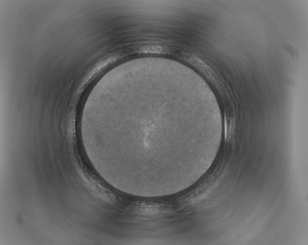 X0000111150531200907281134