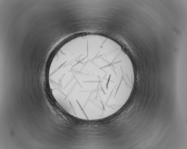 X0000111150532200907281134