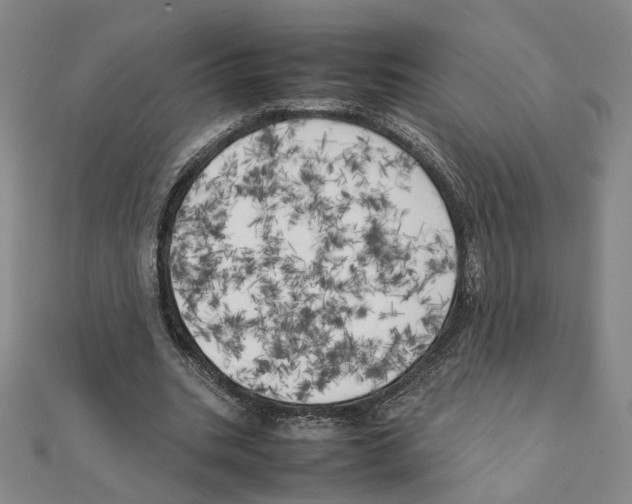 X0000111150535200907281134