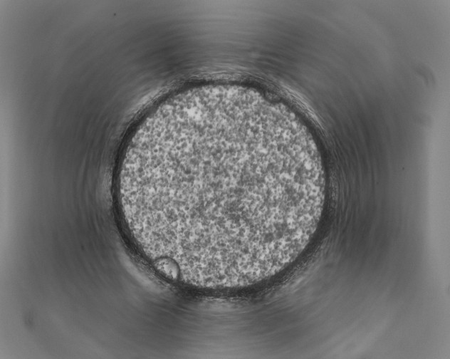 X0000111150538200907281134