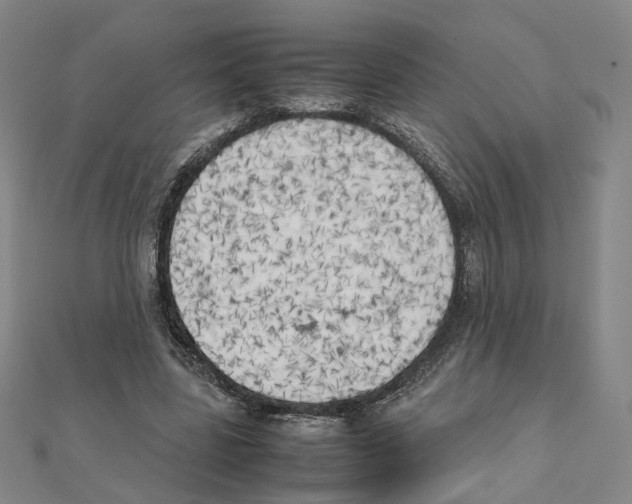 X0000111150539200907281134