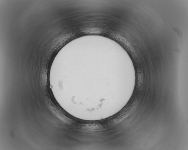 X0000111150541200907281134