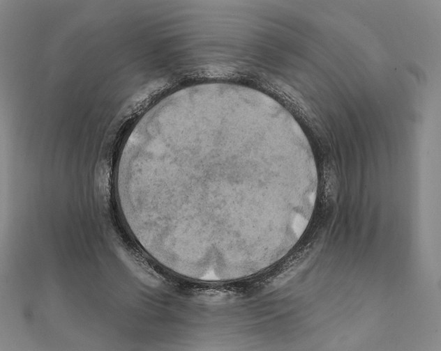 X0000111150542200907281134