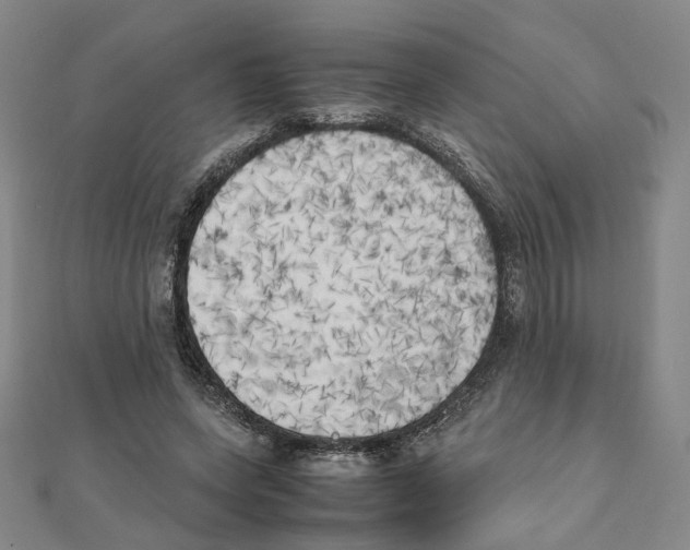 X0000111150543200907281134