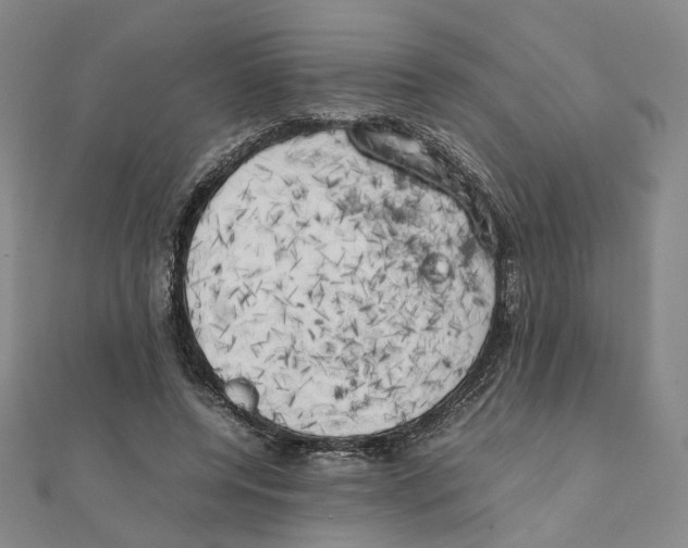 X0000111150544200907281134