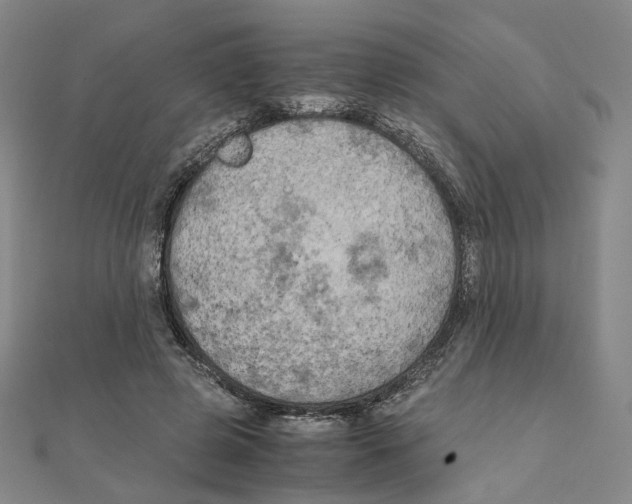 X0000111150545200907281134