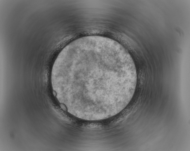 X0000111150546200907281134