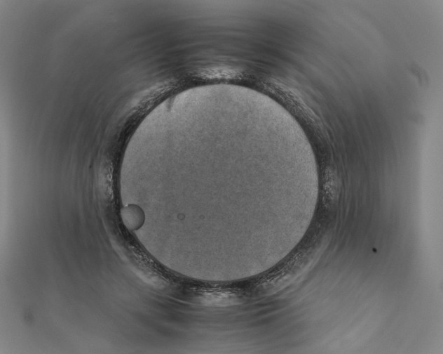 X0000111150547200907281134