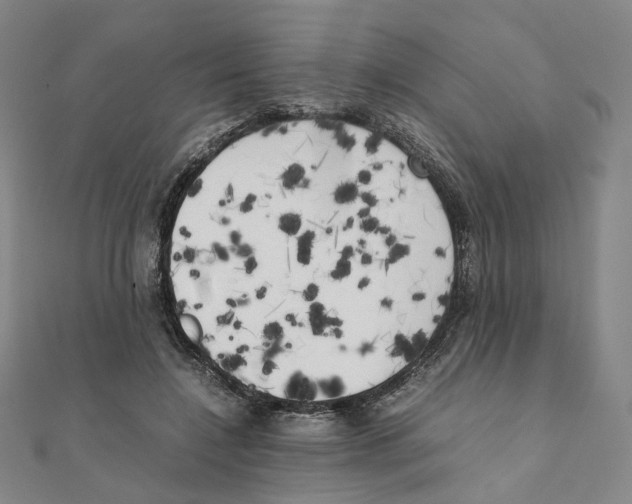 X0000111150548200907281134