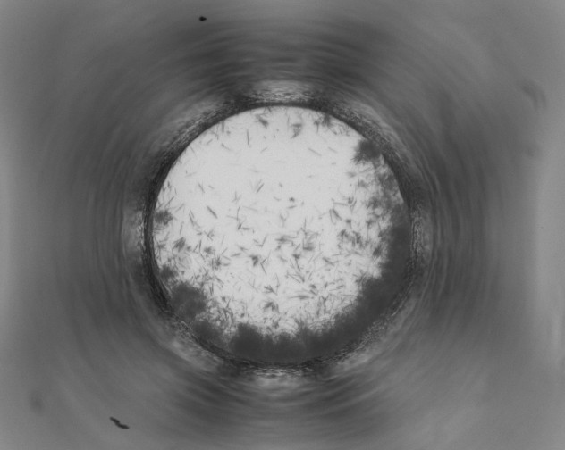 X0000111150549200907281134