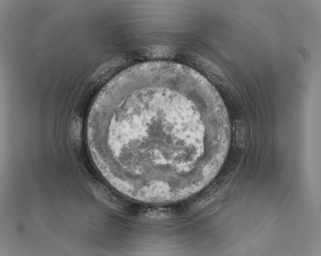 X0000111150550200907281134