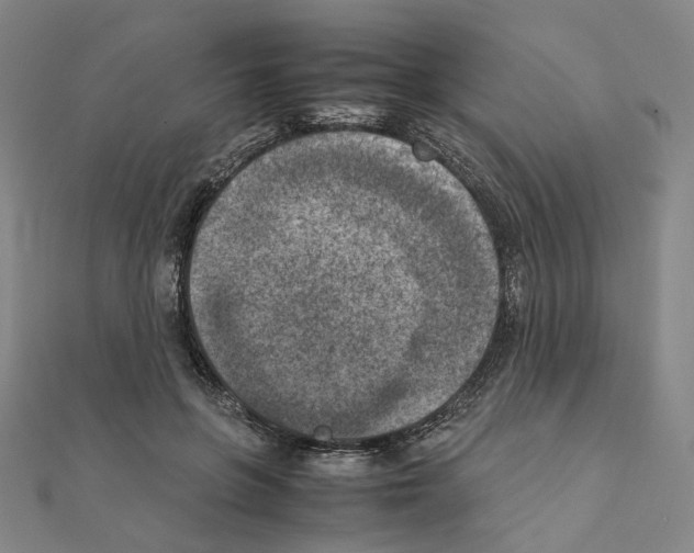 X0000111150551200907281134