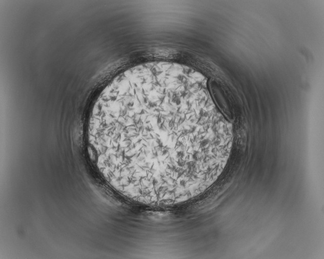 X0000111150552200907281134