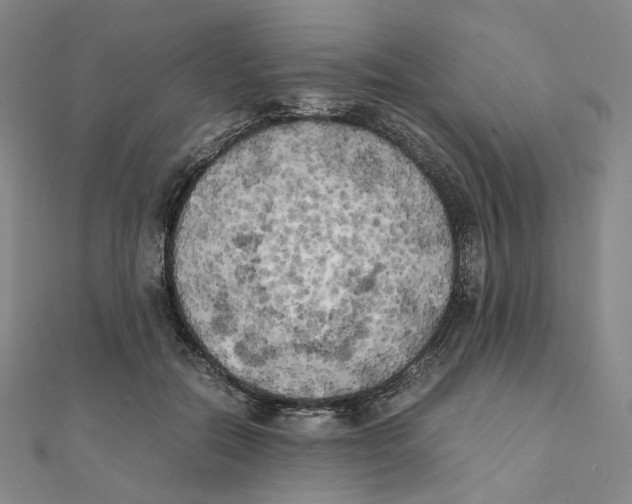 X0000111150554200907281134