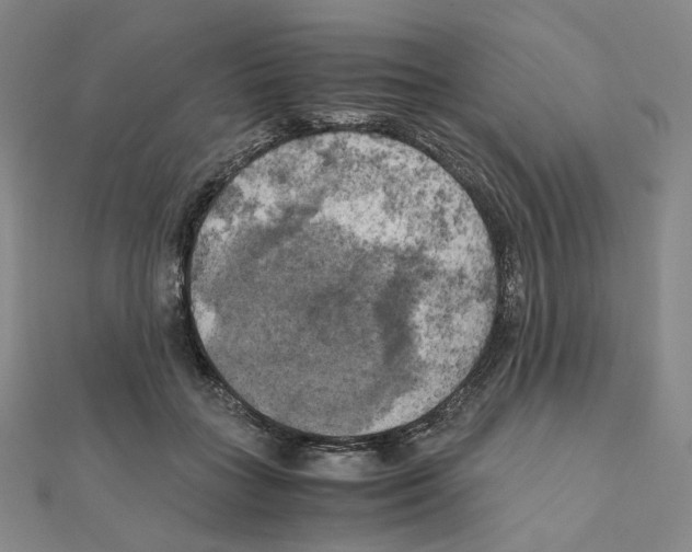 X0000111150555200907281134