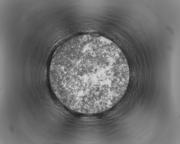 X0000111150556200907281134