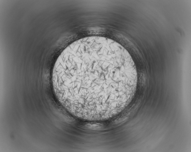 X0000111150557200907281134