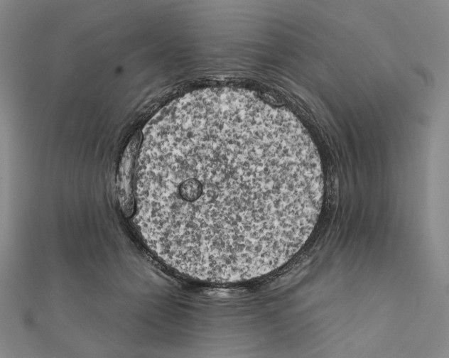 X0000111150558200907281134