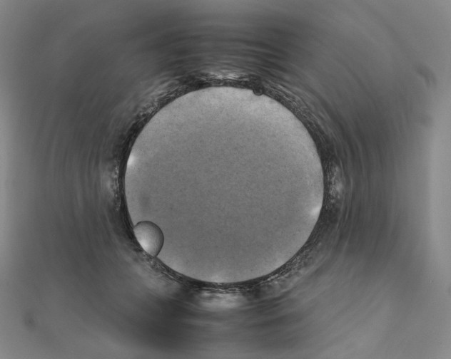 X0000111150559200907281134