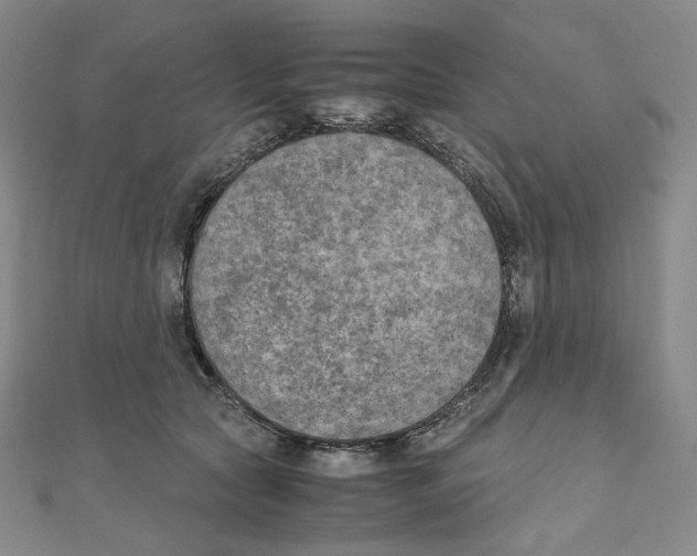 X0000111150561200907281134