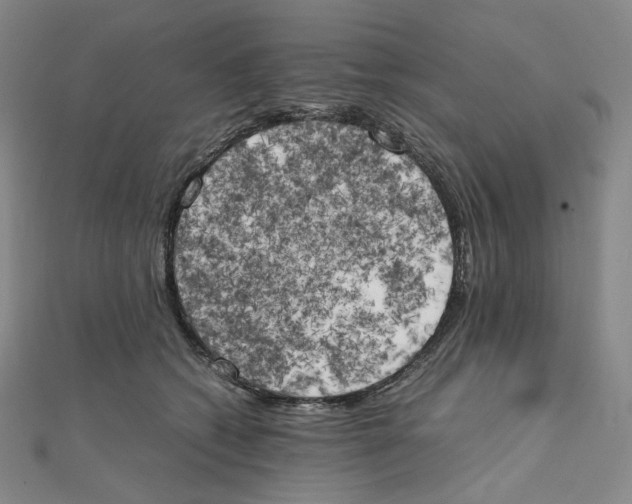 X0000111150562200907281134