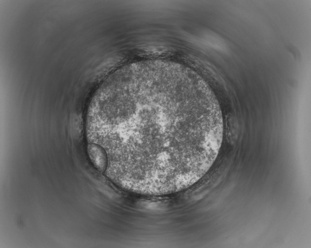 X0000111150563200907281135