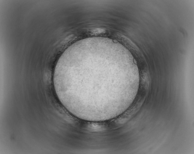 X0000111150565200907281135