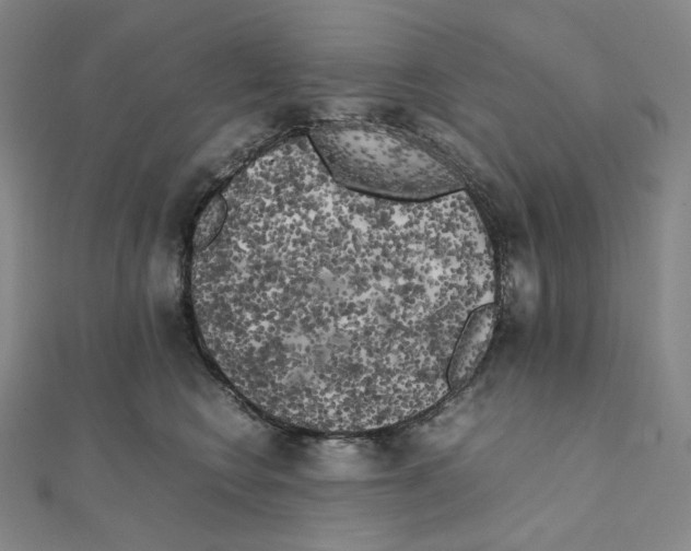 X0000111150566200907281135