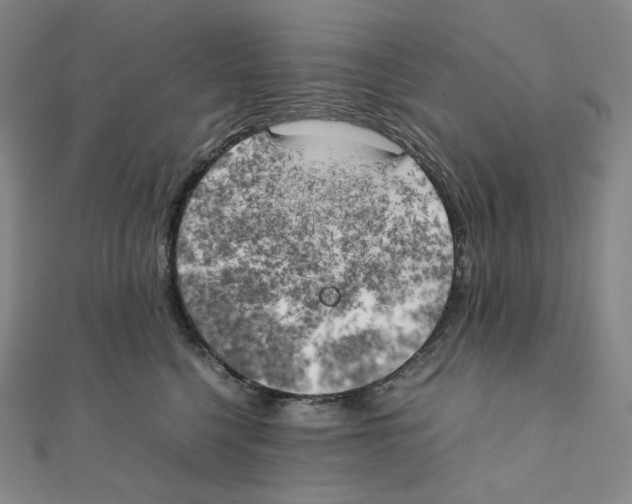 X0000111150568200907281135