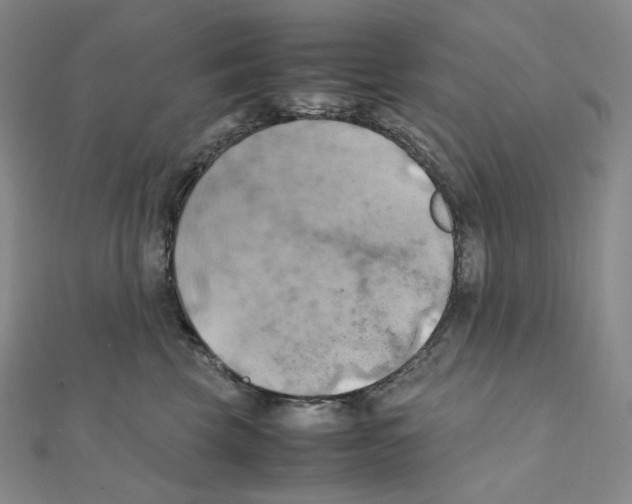 X0000111150569200907281135