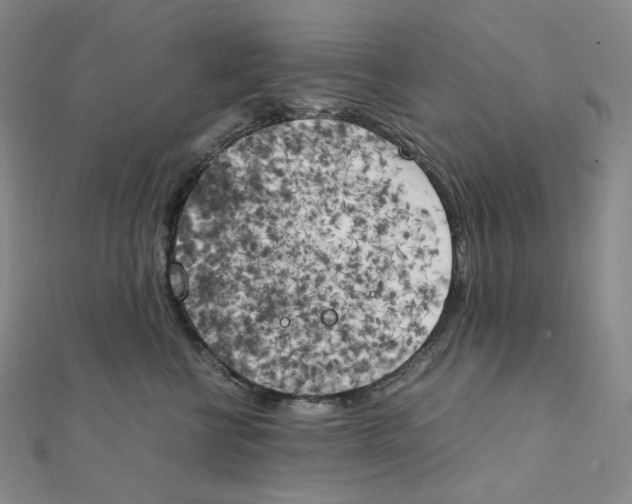 X0000111150570200907281135