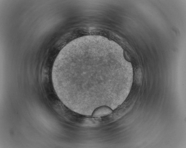 X0000111150571200907281135