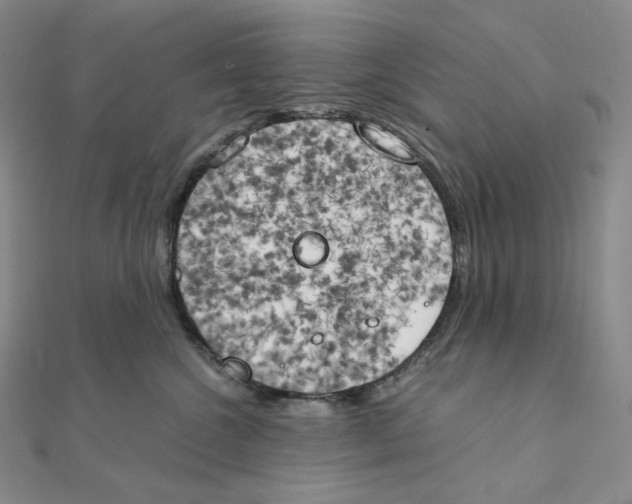 X0000111150572200907281135