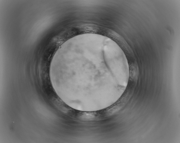 X0000111150573200907281135