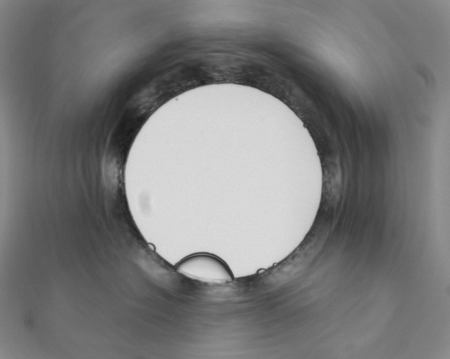 X0000111150574200907281135