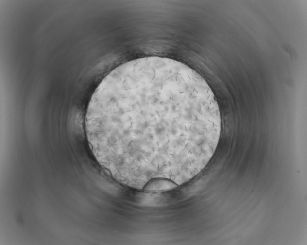 X0000111150575200907281135