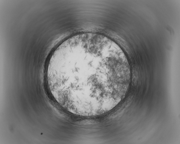 X0000111150578200907281134