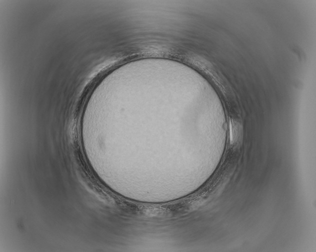 X0000111150579200907281134